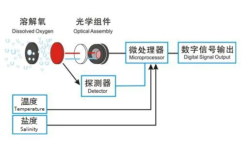 Schematisch diagram van de KWS-650C online sensor voor opgeloste zuurstof